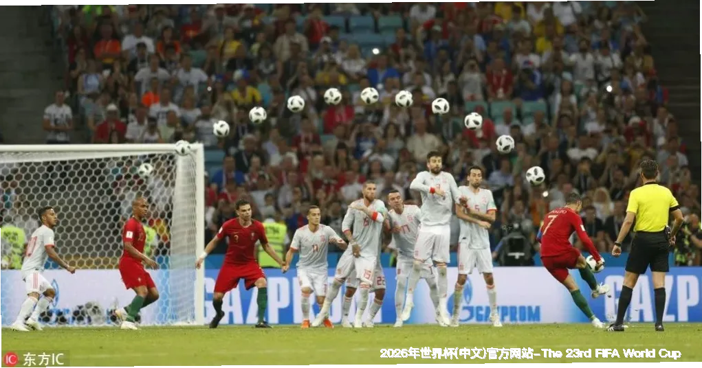 FIFA 中国平台介绍