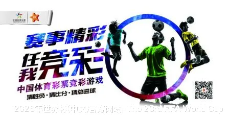 未来愿景与发展方向